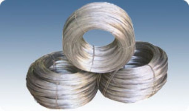 Galvanized Iron Wire 